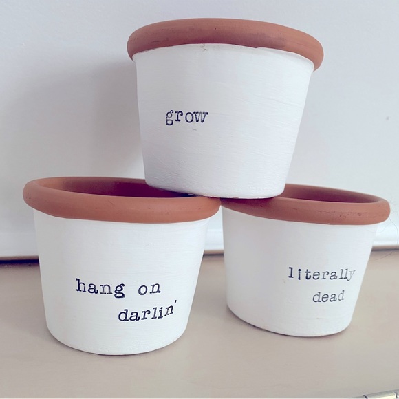 3 Fun Mini 3” Plant Pots - Picture 2 of 2